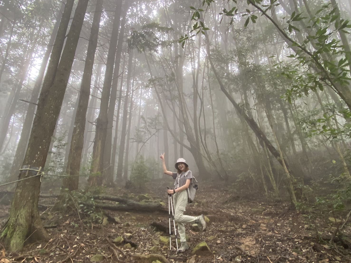 台中登山|橫沙笛縱走登山路程紀錄|享受山林間的療癒時光~橫嶺山、沙蓮山、笛吹山 - 第39張圖 谷關七雄屋我尾山