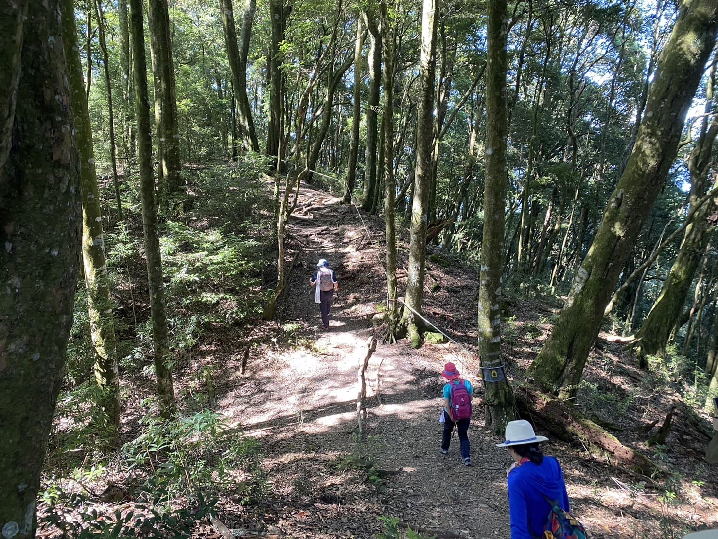 屋我尾山登山路程紀錄