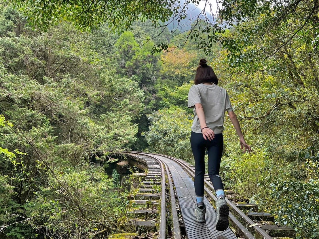 嘉義健行|阿里山眠月線路程紀錄與攻略|美麗的森林鐵道一日遊、眠月線申請、眠月線交通 - 第1張圖 阿里山眠月線路程紀錄與攻略