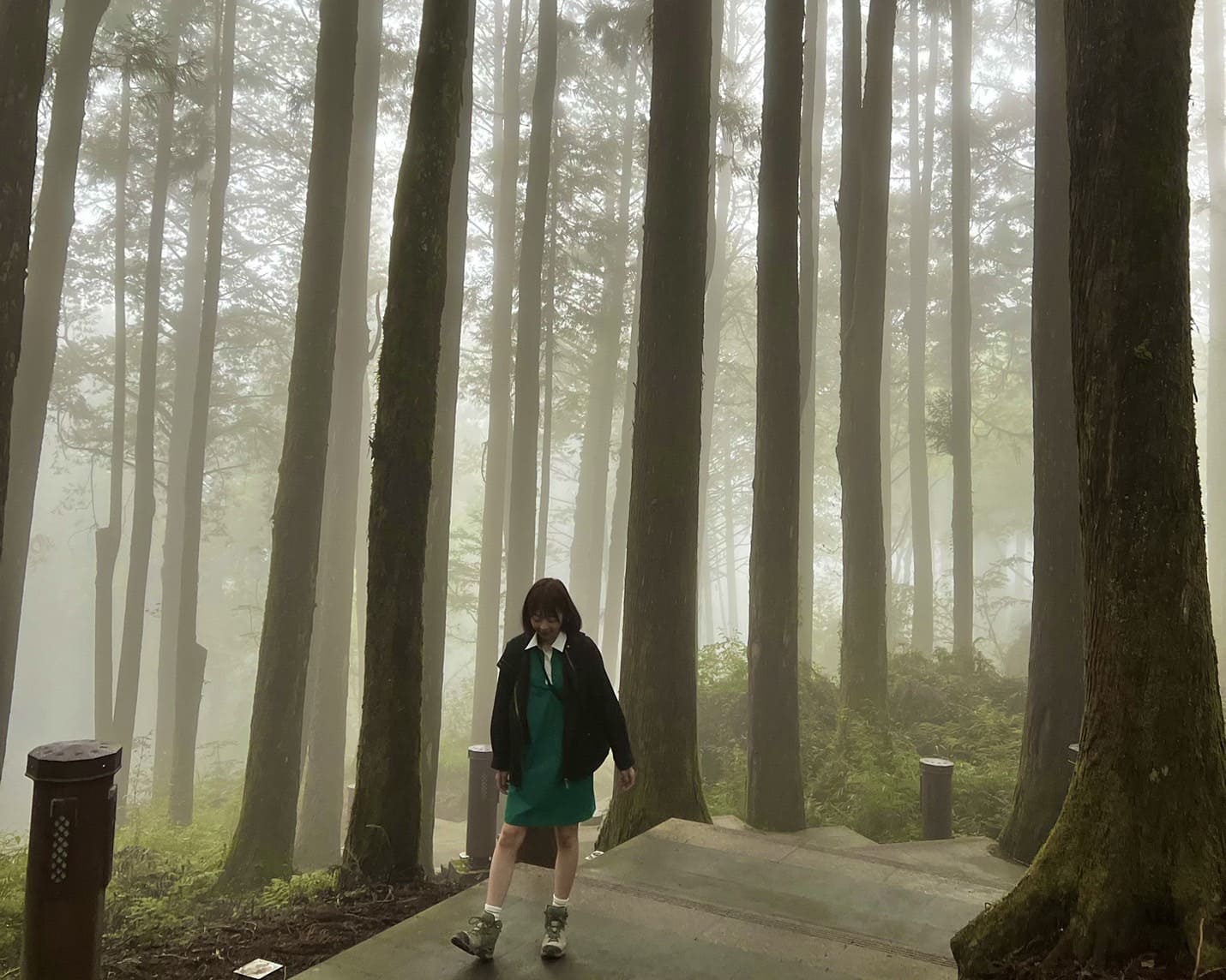 嘉義健行|阿里山眠月線路程紀錄與攻略|美麗的森林鐵道一日遊、眠月線申請、眠月線交通 - 第10張圖 阿里山森之道