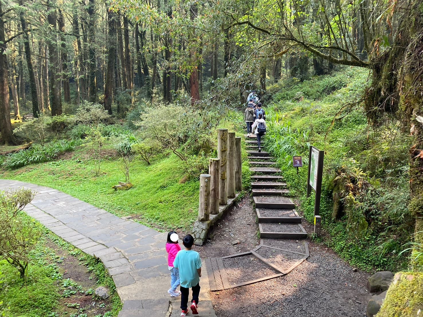 嘉義健行|阿里山眠月線路程紀錄與攻略|美麗的森林鐵道一日遊、眠月線申請、眠月線交通 - 第17張圖 塔山步道