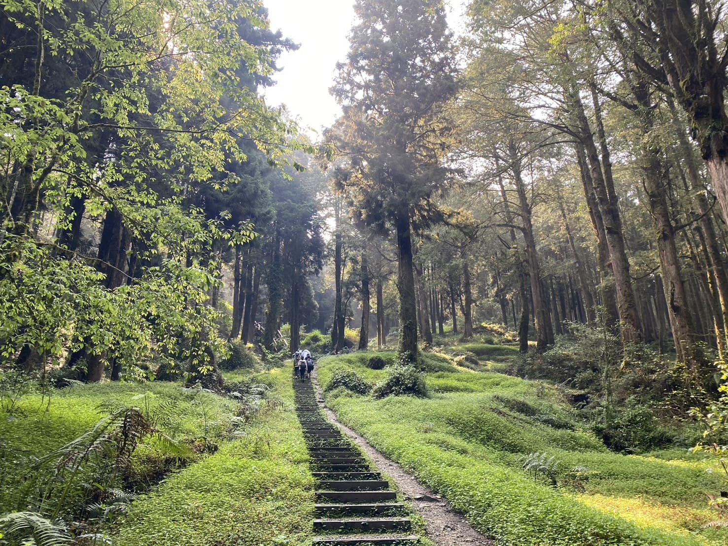 嘉義健行|阿里山眠月線路程紀錄與攻略|美麗的森林鐵道一日遊、眠月線申請、眠月線交通 - 第18張圖 塔山步道