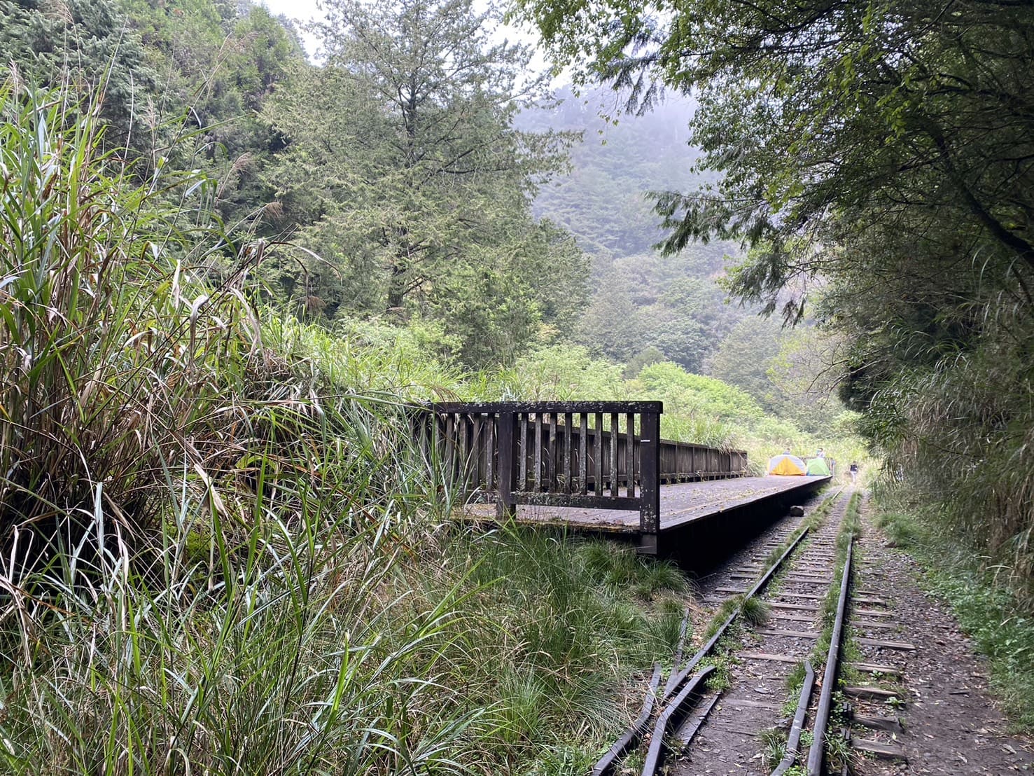 嘉義健行|阿里山眠月線路程紀錄與攻略|美麗的森林鐵道一日遊、眠月線申請、眠月線交通 - 第30張圖 眠月線路程紀錄、塔山車站
