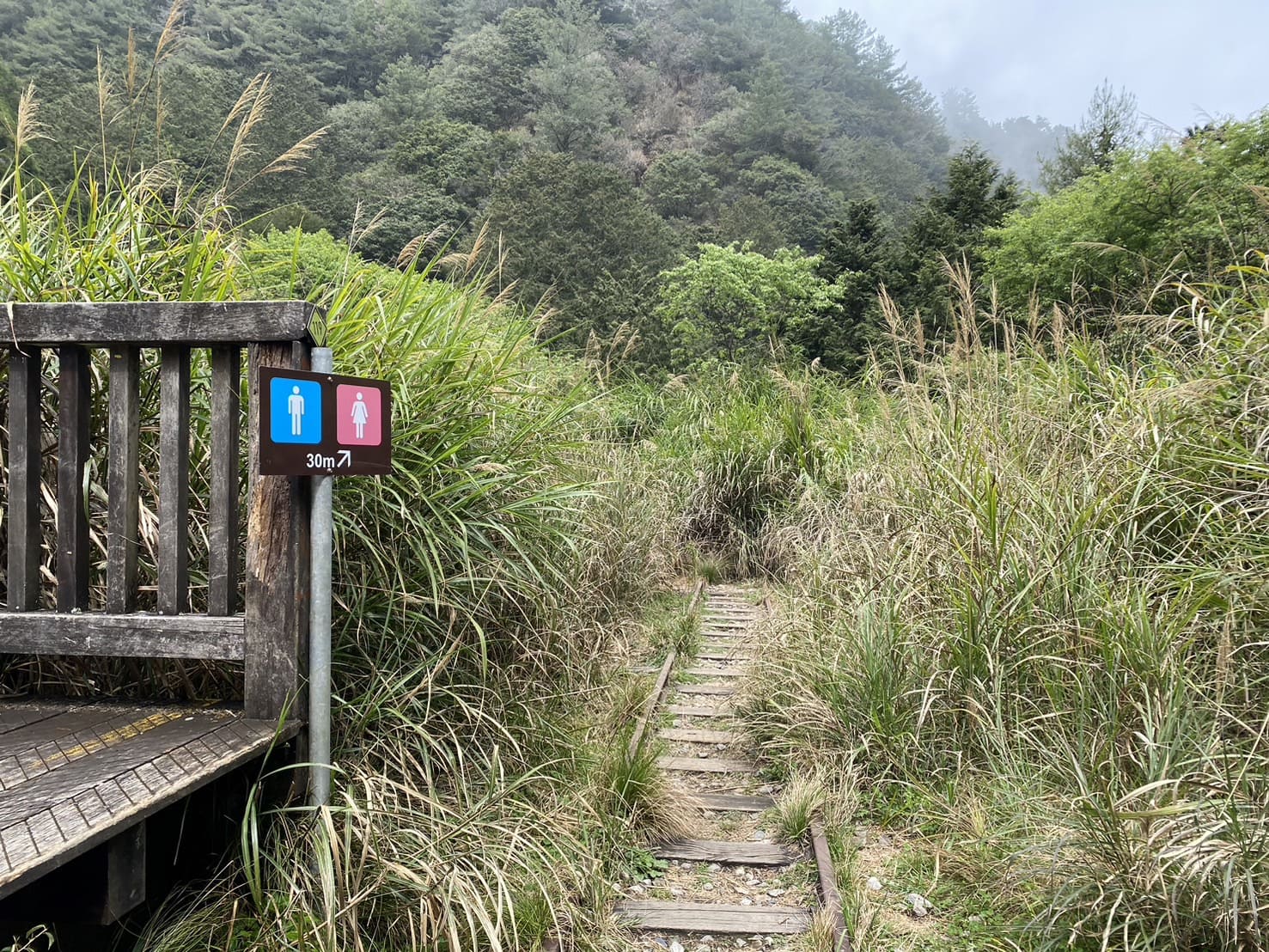 嘉義健行|阿里山眠月線路程紀錄與攻略|美麗的森林鐵道一日遊、眠月線申請、眠月線交通 - 第13張圖 眠月線廁所