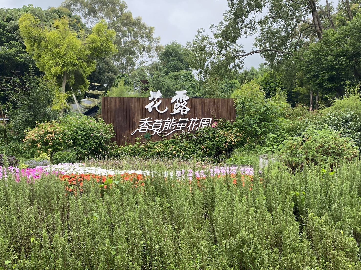 苗栗|卓蘭花露農場|Flower Home、夢幻又繽紛的繡球花海、繡球花季 - 第8張圖 花露休閒農場香草能量花園