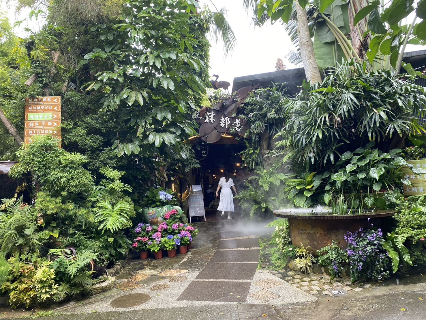 苗栗|卓蘭花露農場|Flower Home、夢幻又繽紛的繡球花海、繡球花季 - 第9張圖 花露休閒農場雨林部落