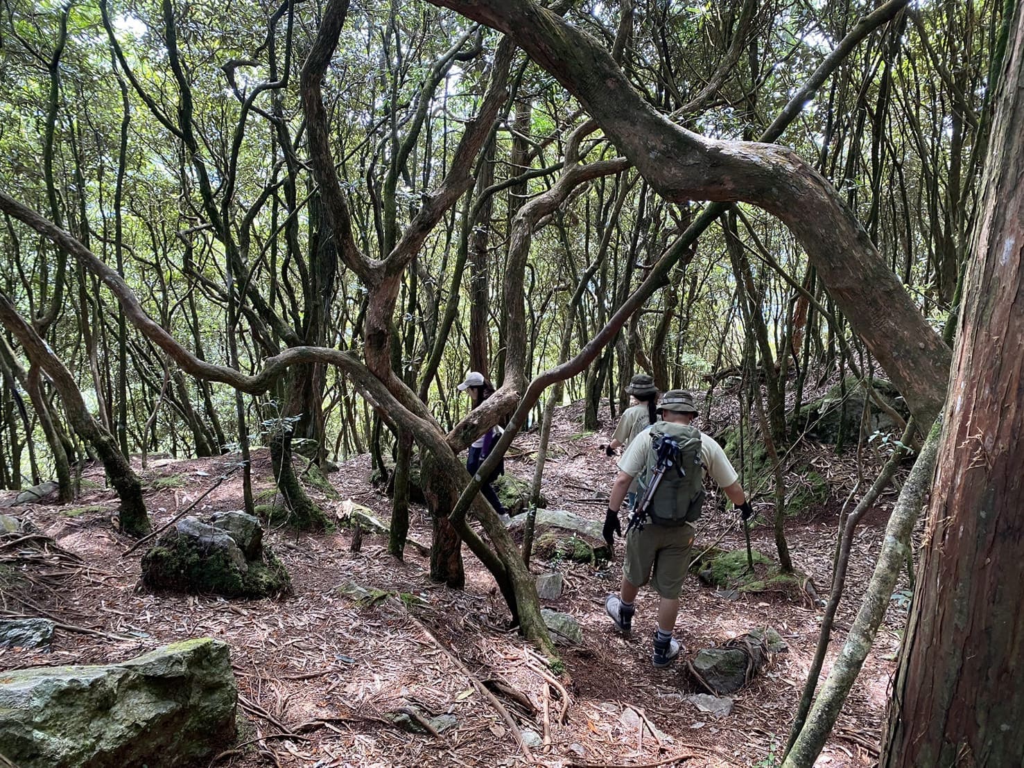 鳶嘴山