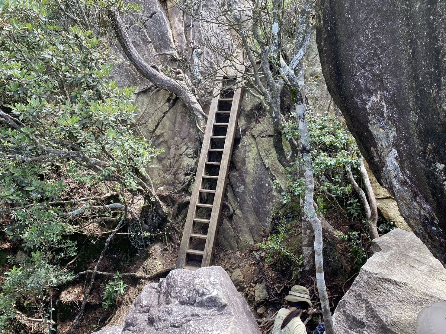 鳶嘴山攀岩路段