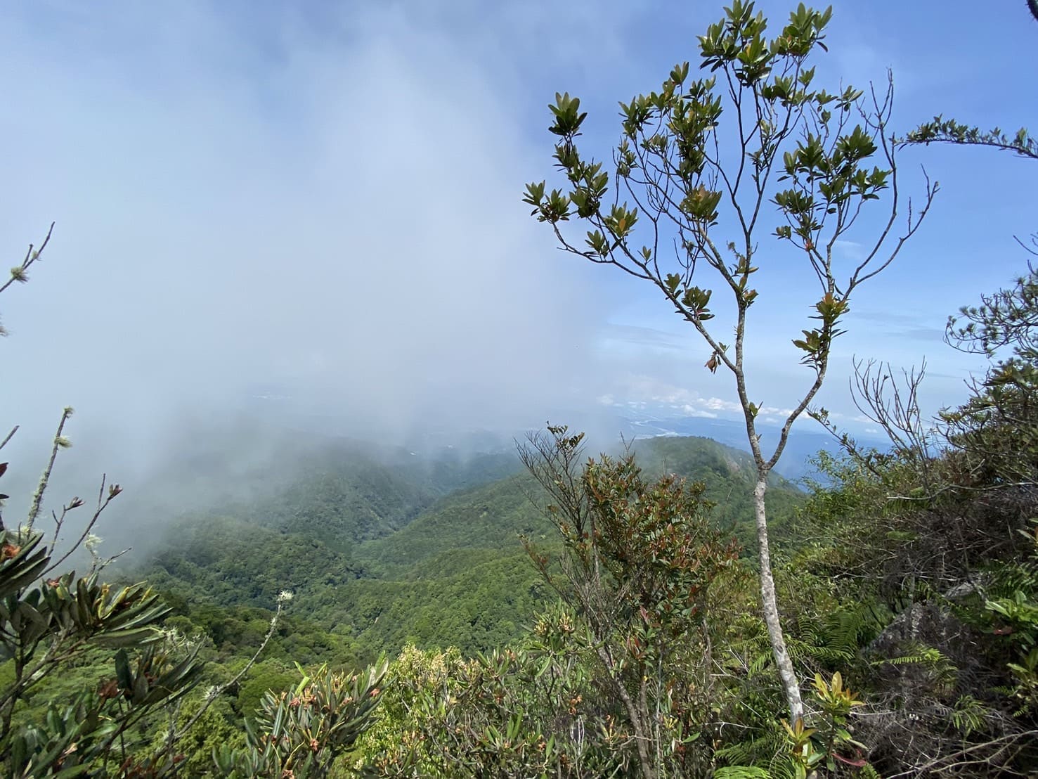 鳶嘴山