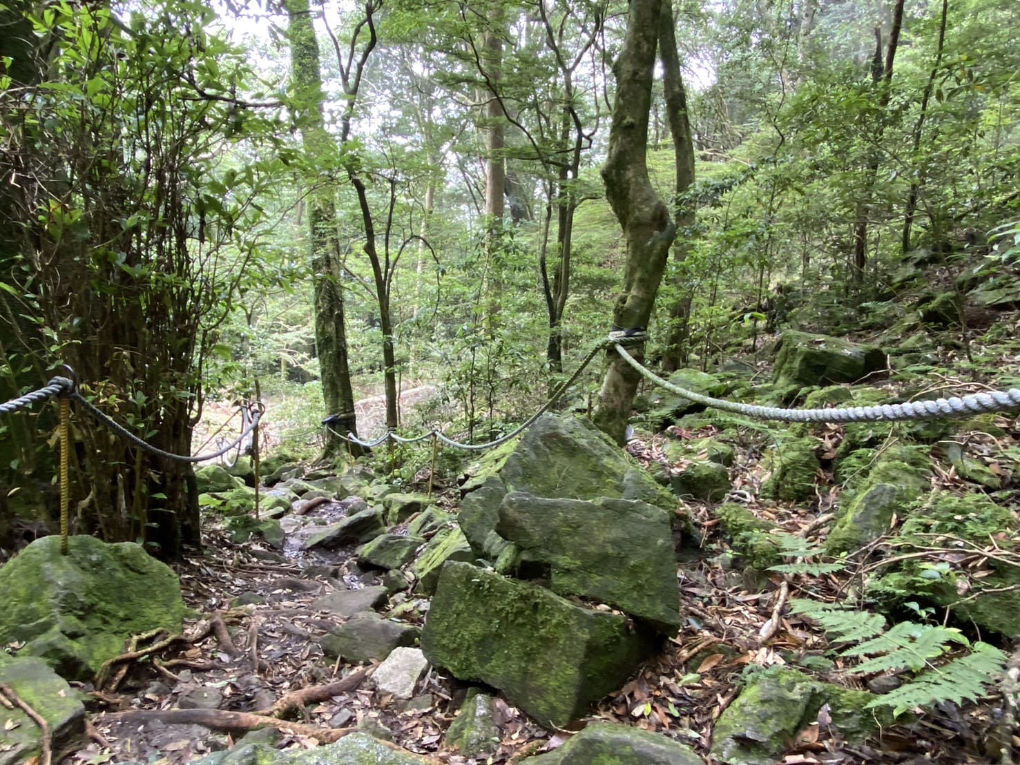 鳶嘴山