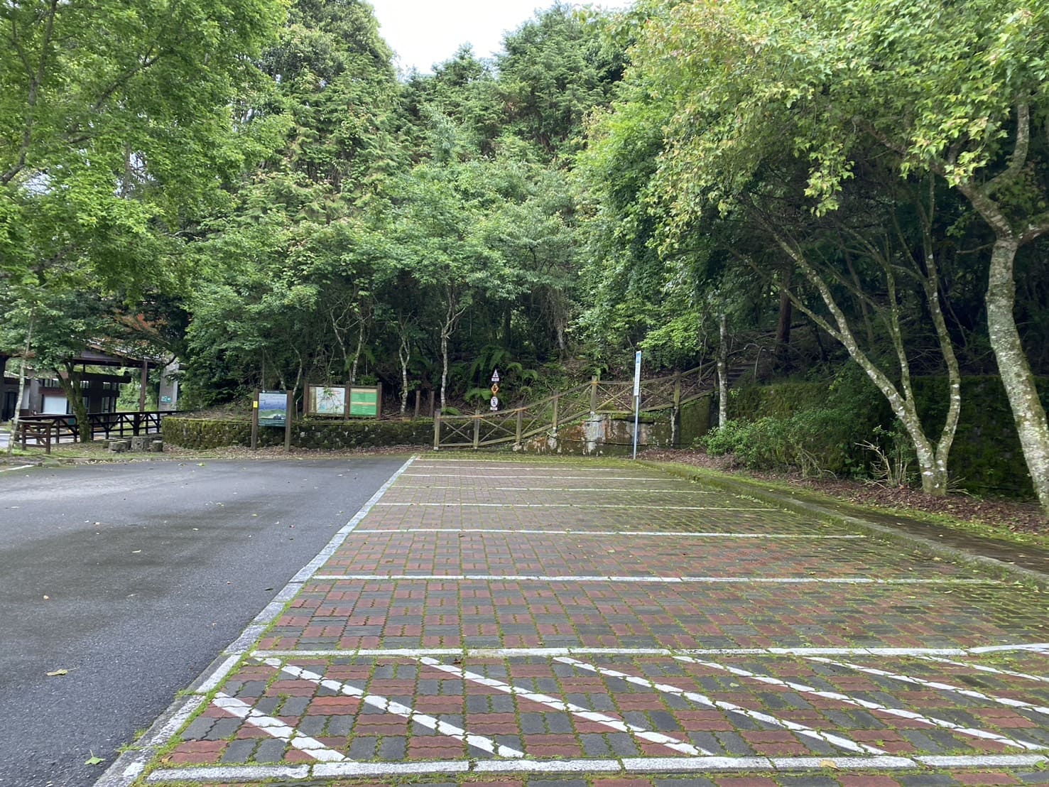 大雪山國家森林遊樂區