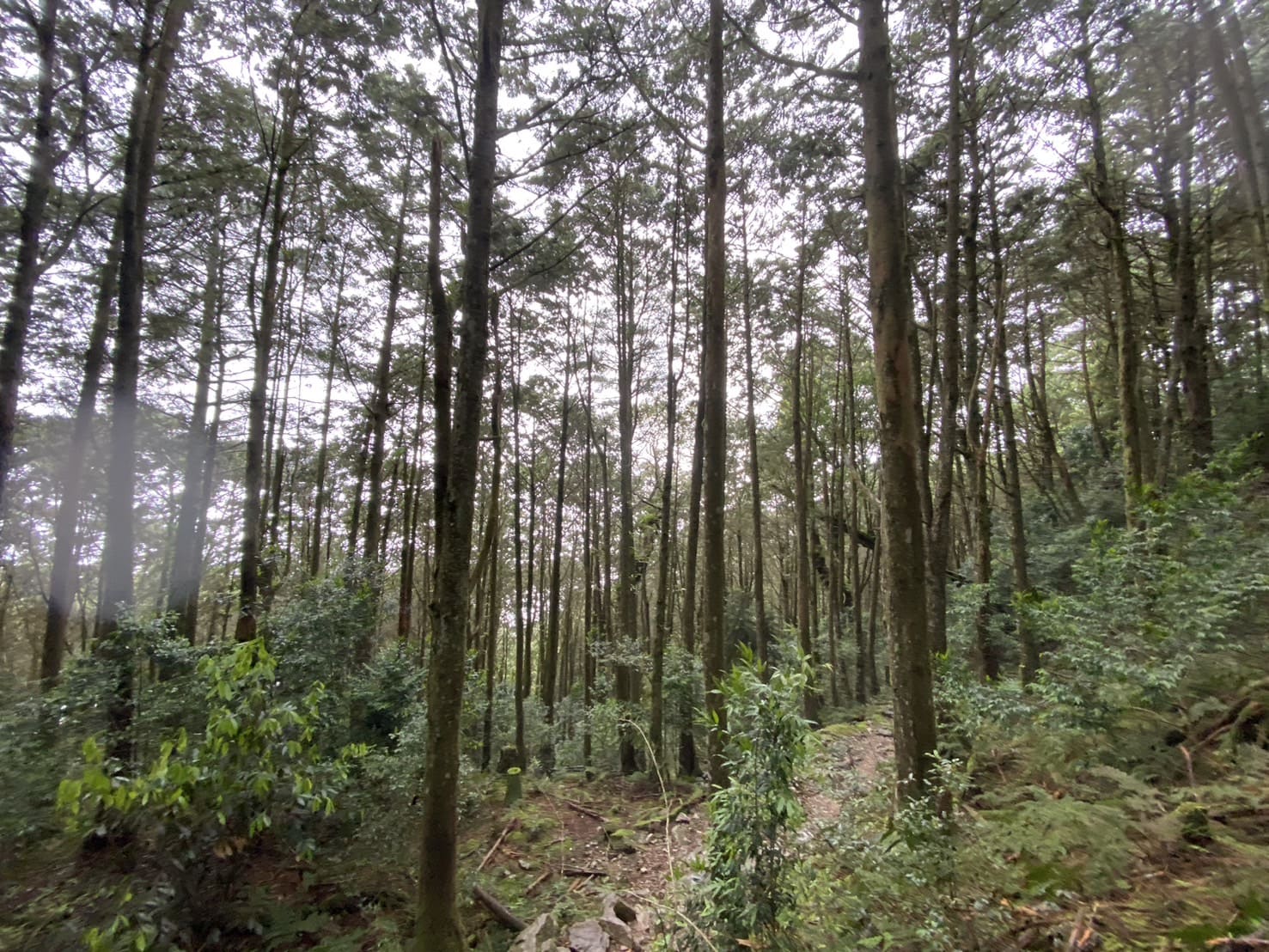 稍來山