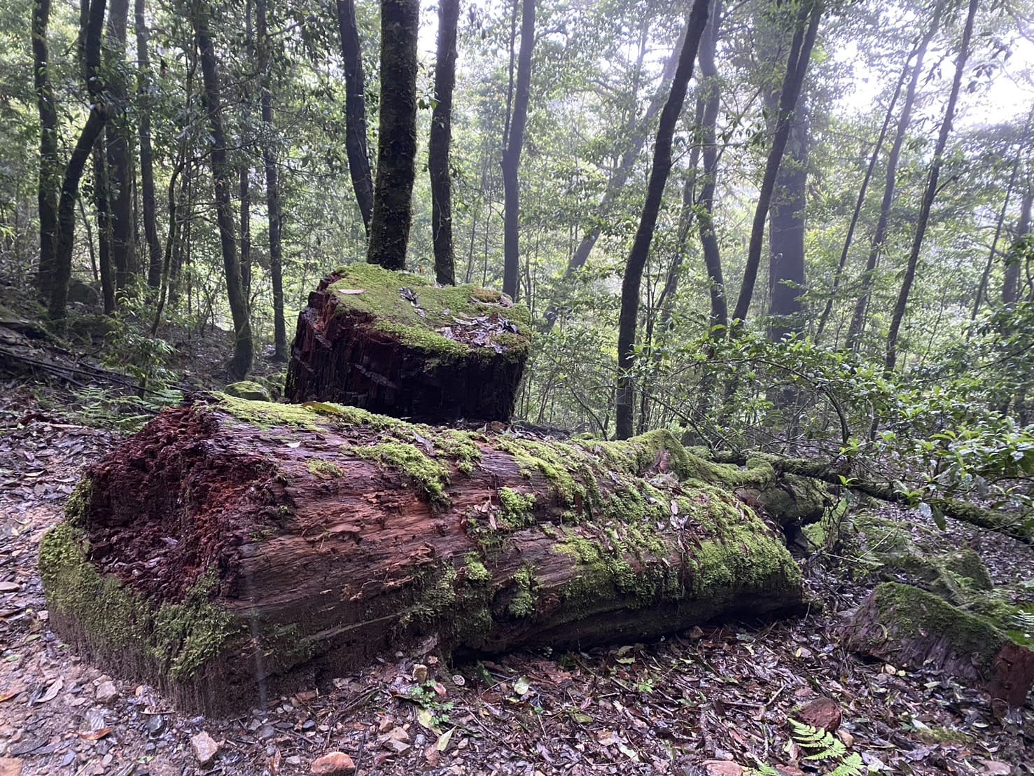 稍來山
