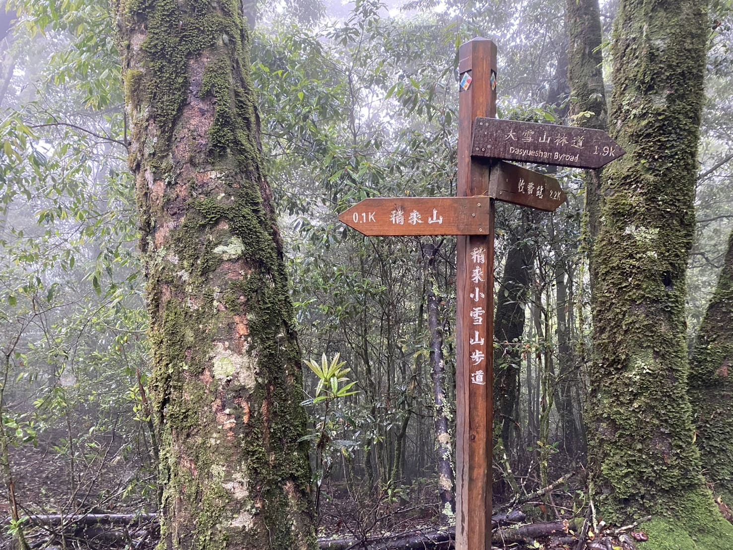 稍來山路標