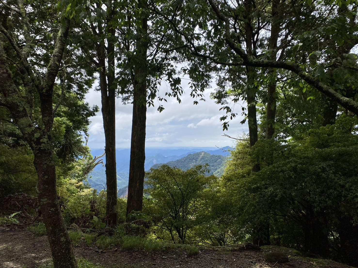 大雪山國家森林遊樂區