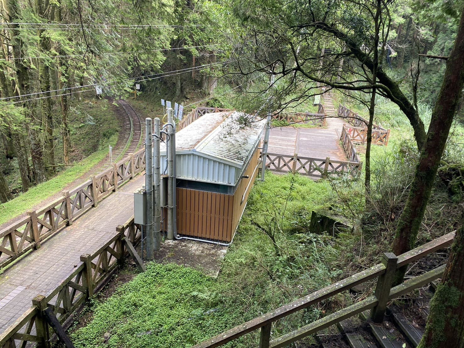 嘉義健行|阿里山眠月線路程紀錄與攻略|美麗的森林鐵道一日遊、眠月線申請、眠月線交通 - 第21張圖 阿里山塔山步道、眠月線木平台