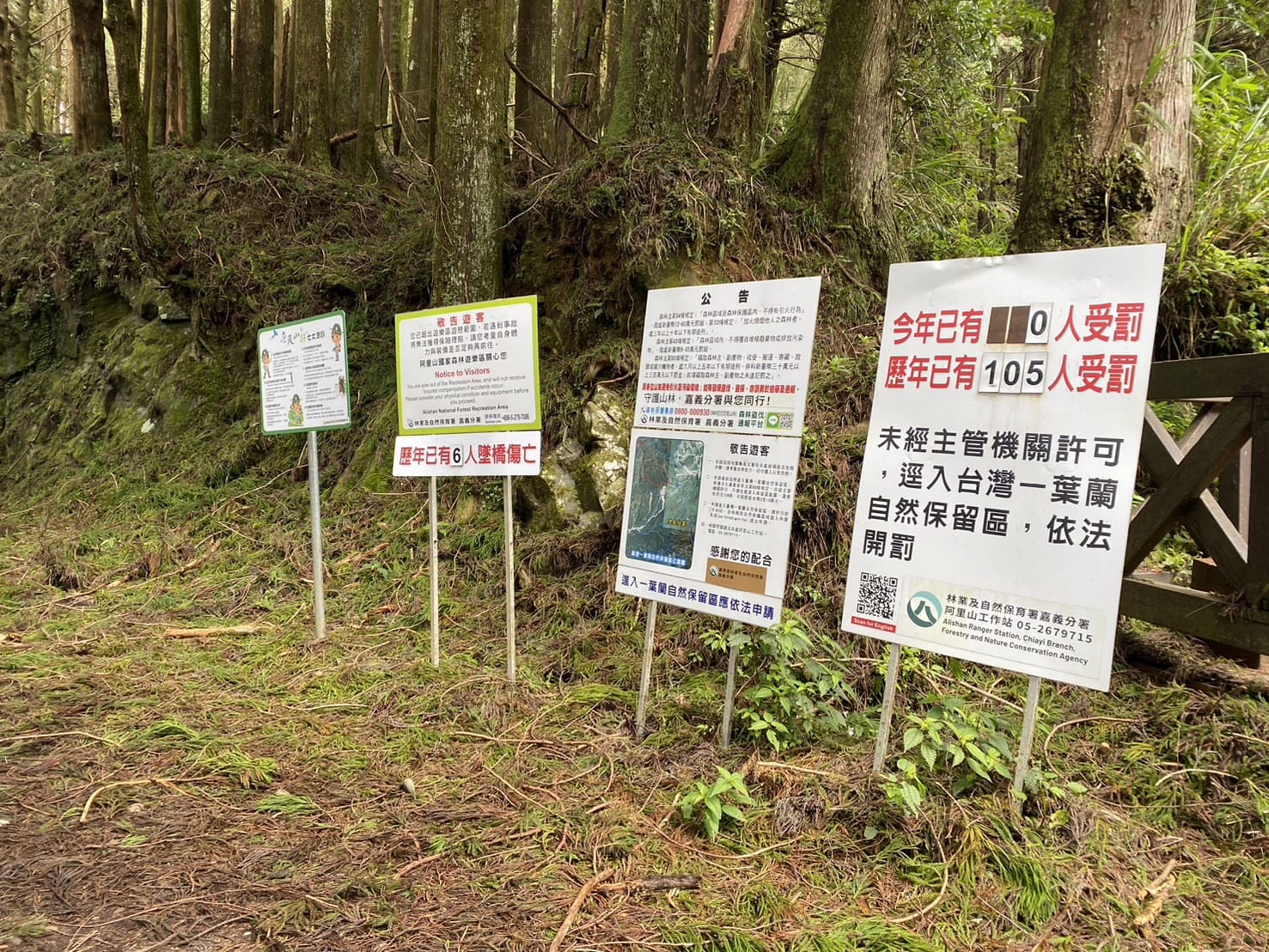 嘉義健行|阿里山眠月線路程紀錄與攻略|美麗的森林鐵道一日遊、眠月線申請、眠月線交通 - 第23張圖 阿里山眠月線告示牌