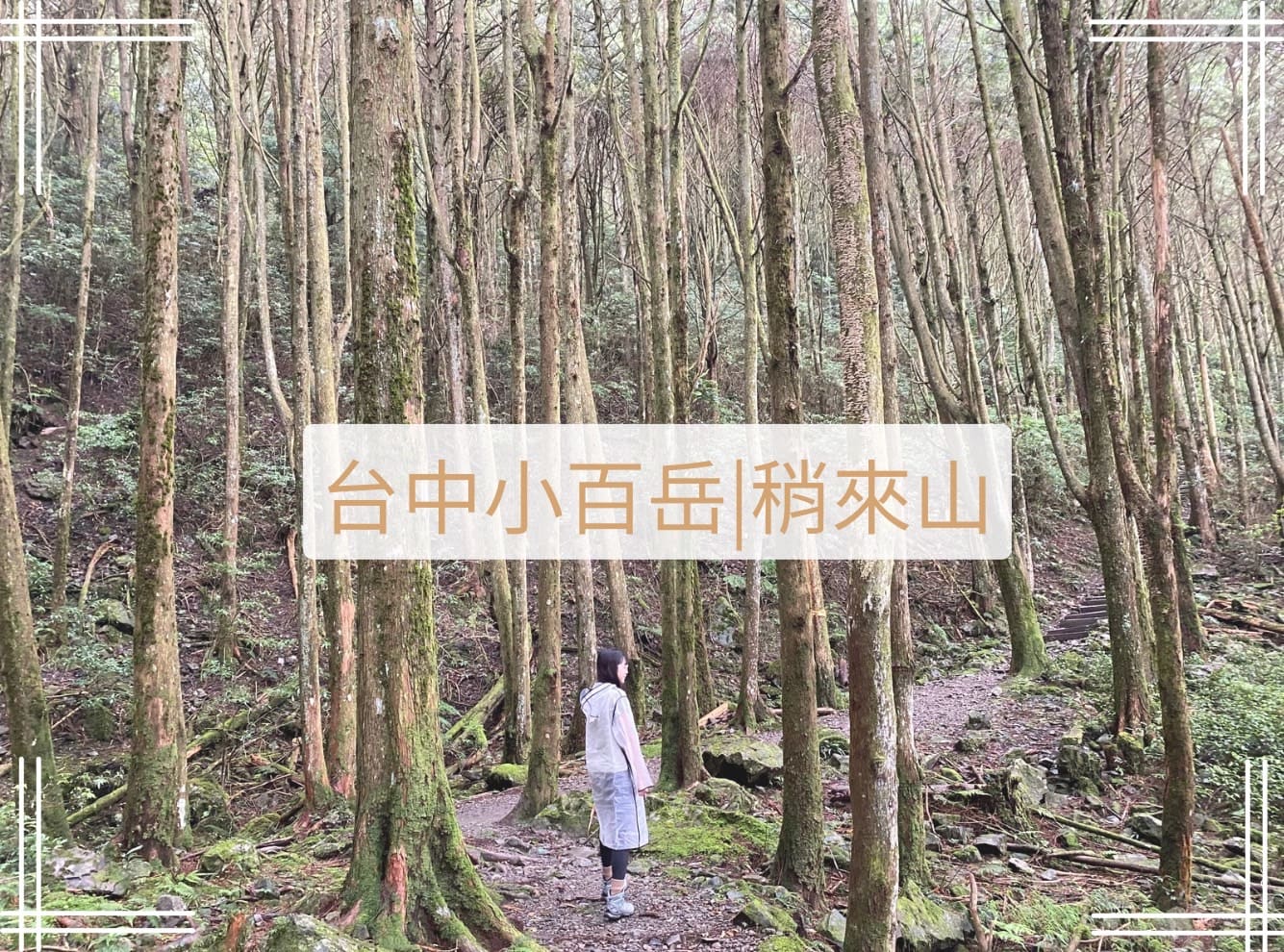 台中小百岳稍來山