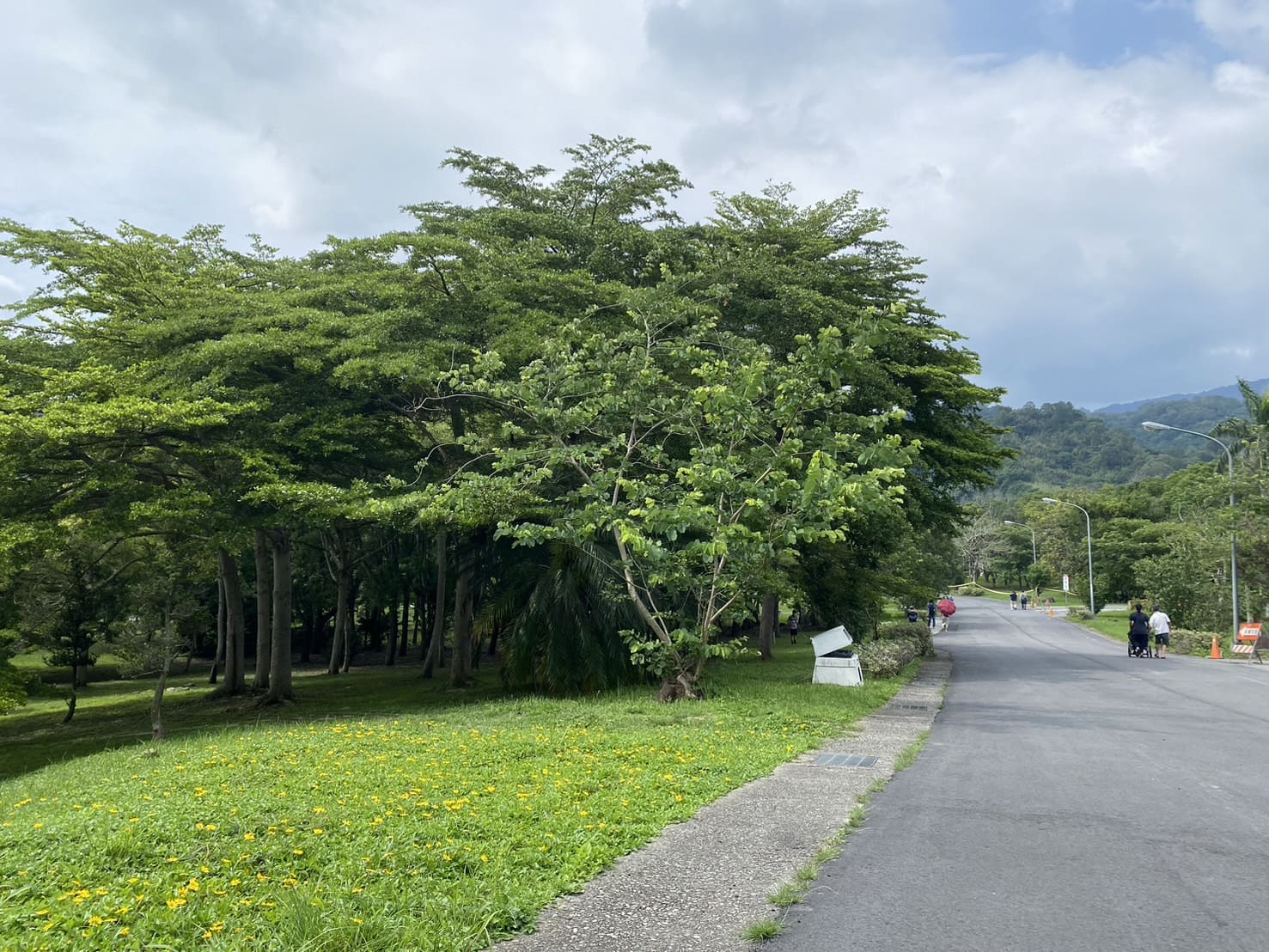 卓蘭景點-鯉魚潭水庫步道