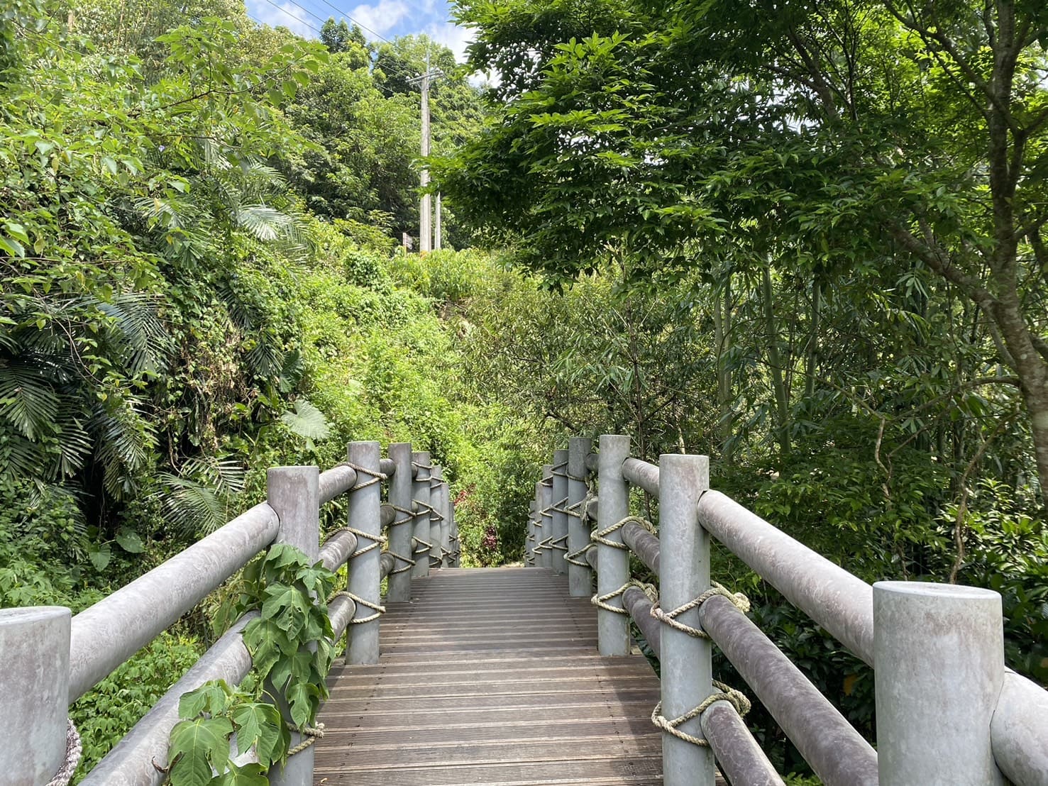 草嶺蓬萊瀑布步道