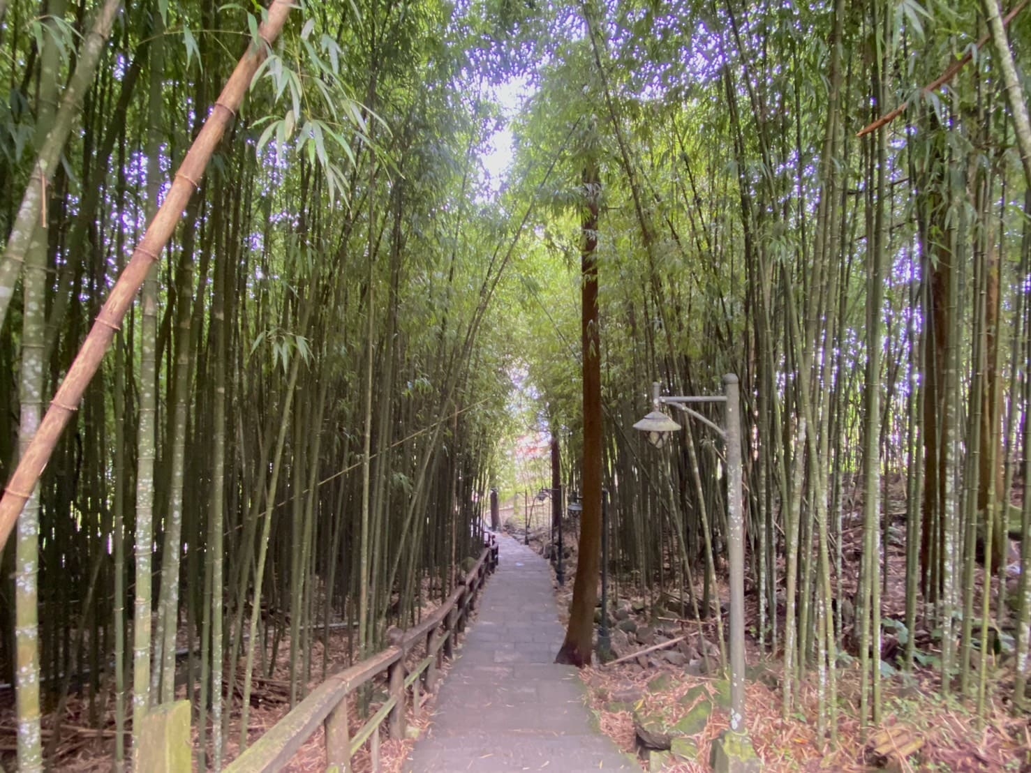 奮起湖車站