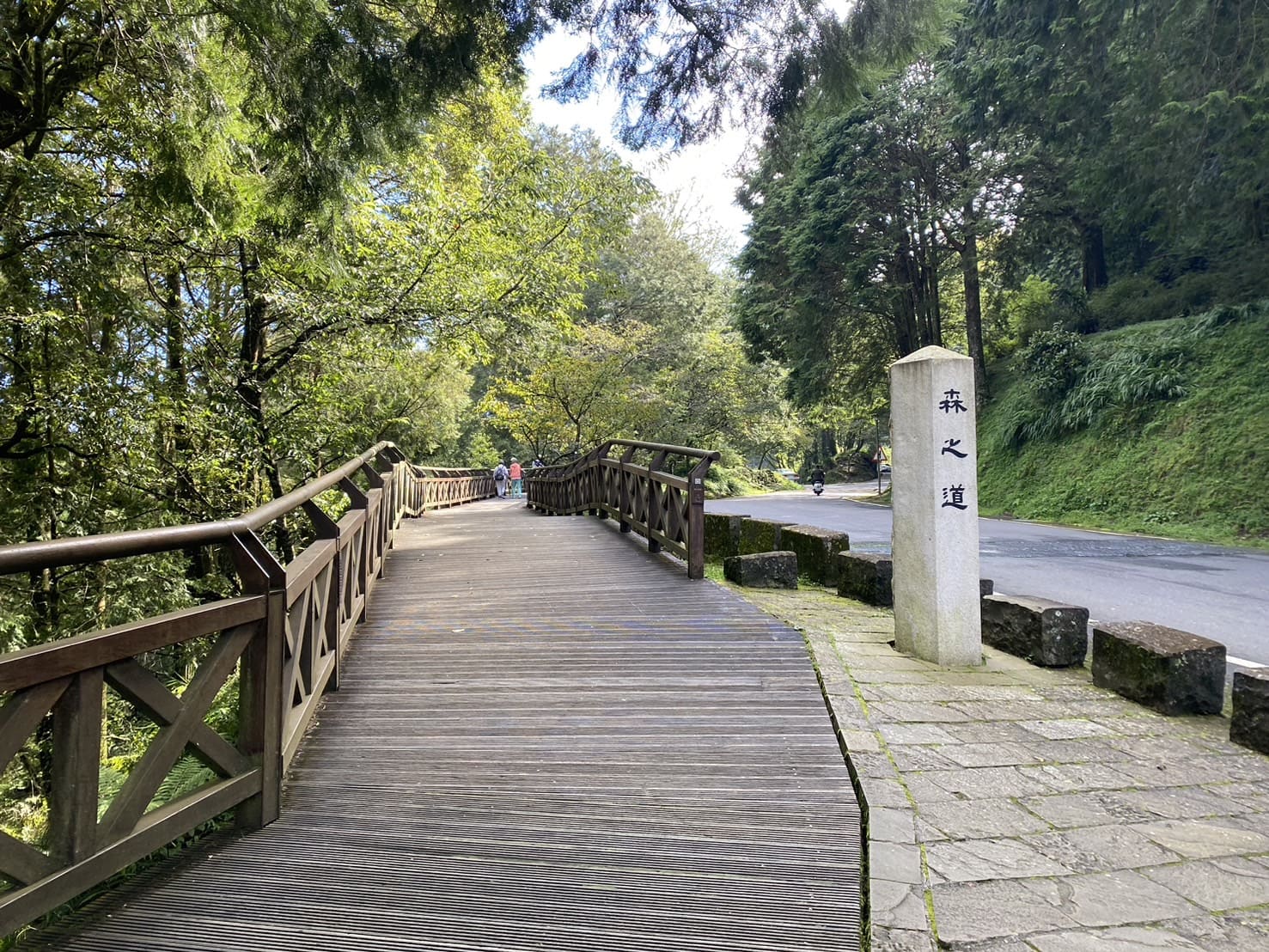 阿里山健行步道、森之道入口