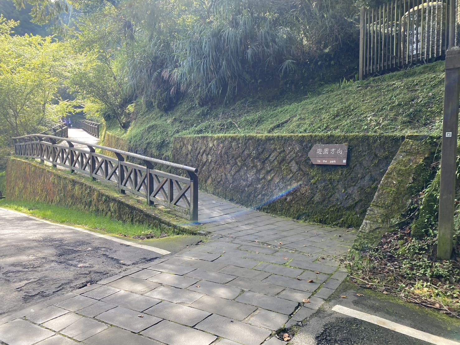 阿里山健行步道、森之道