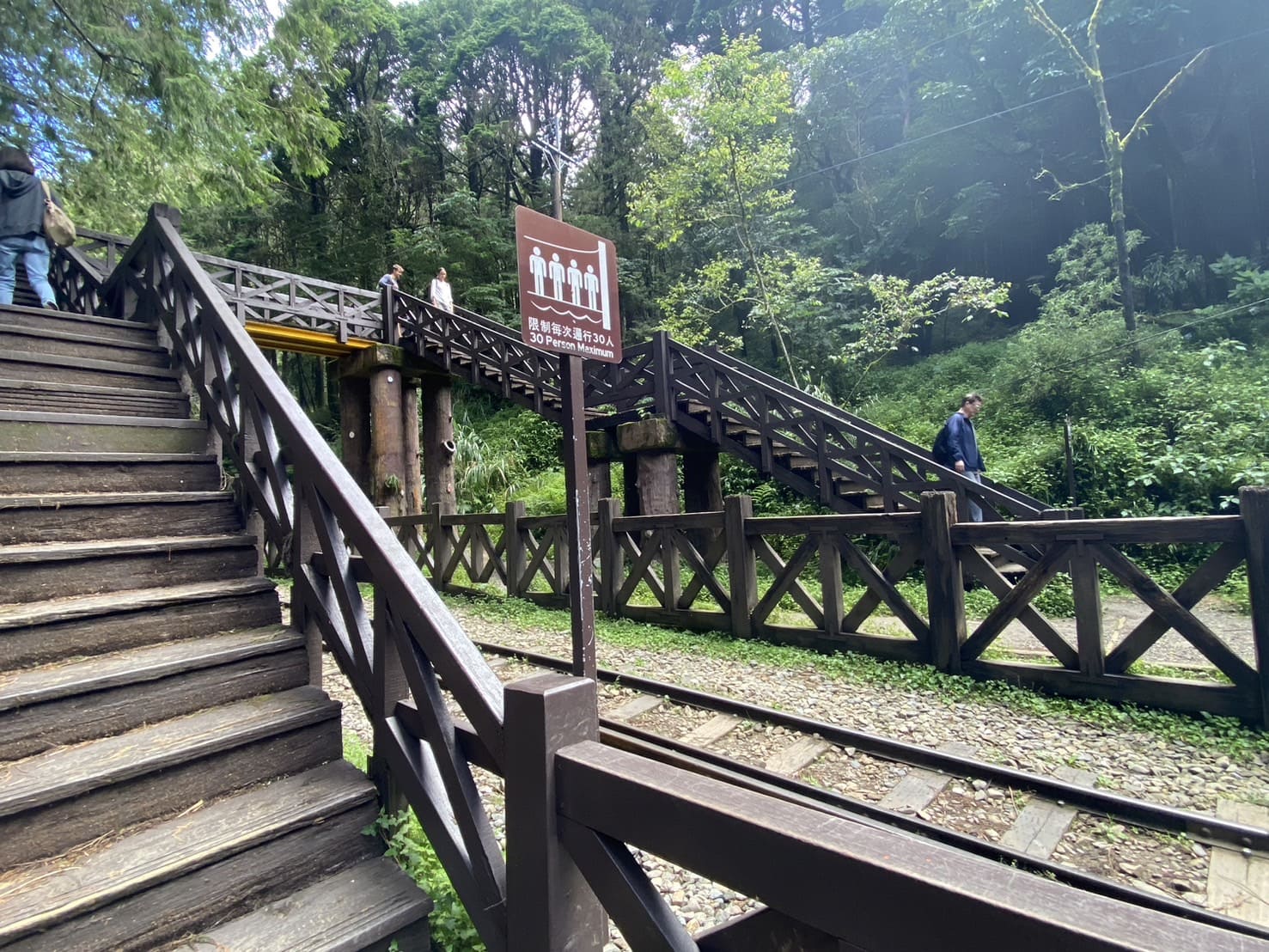 阿里山健行步道、塔山步道