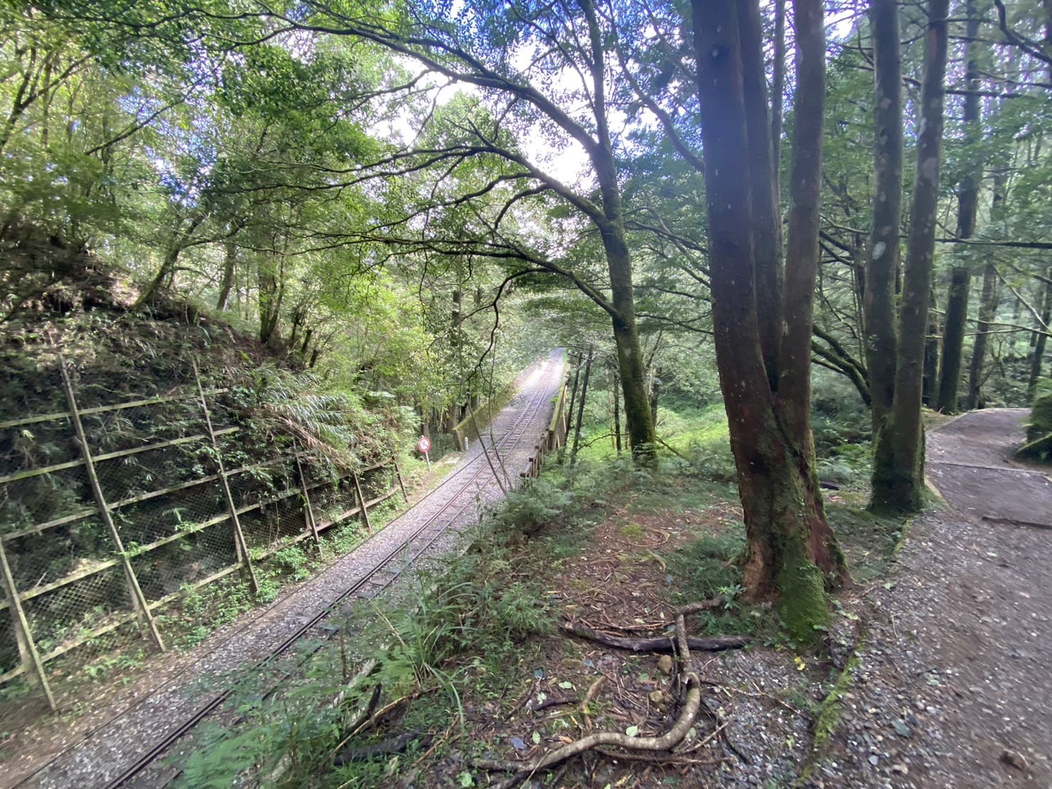 阿里山健行步道、塔山步道