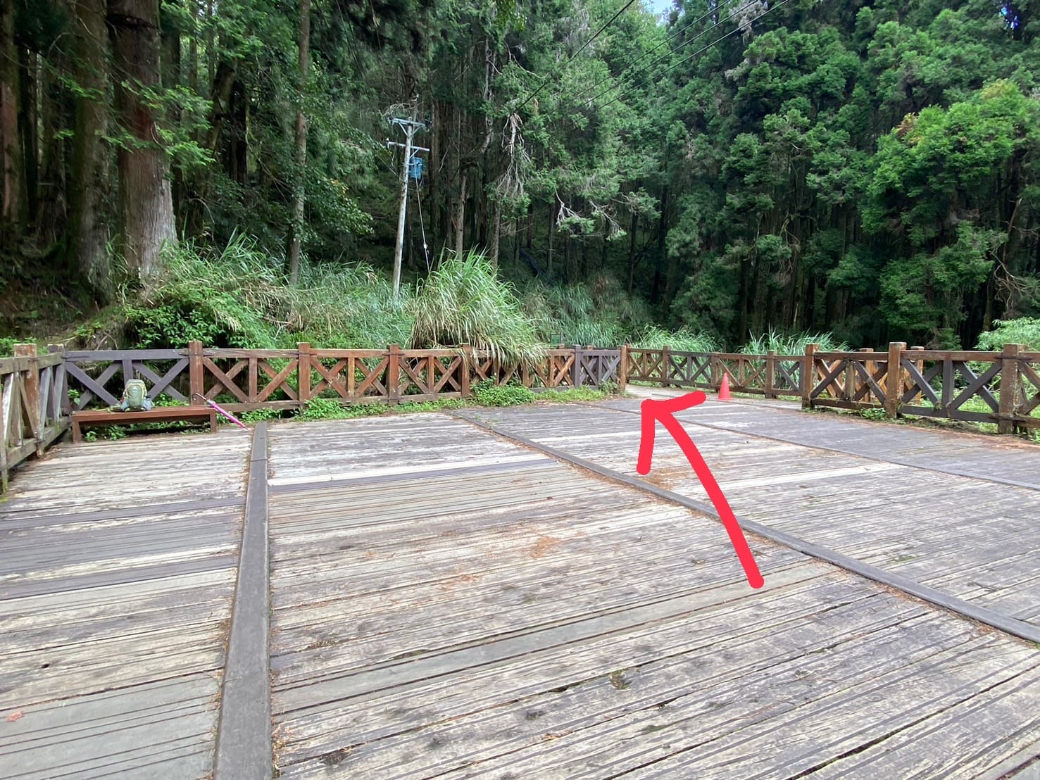 阿里山健行步道、塔山步道