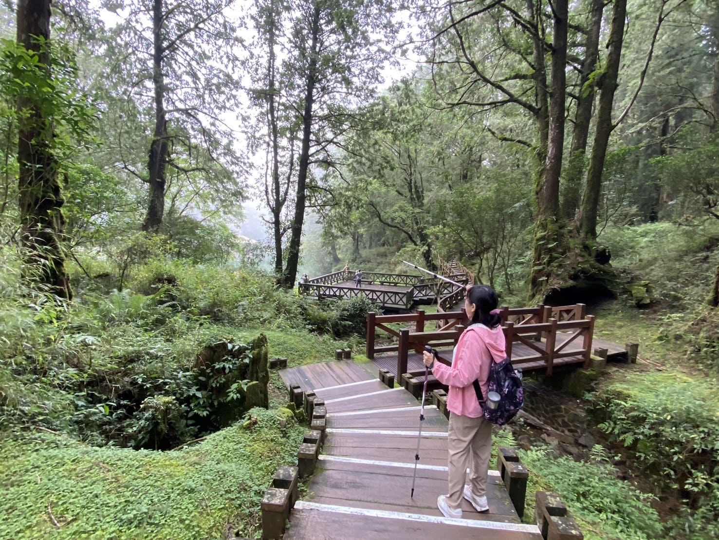 阿里山健行步道、姐妹潭環潭棧道