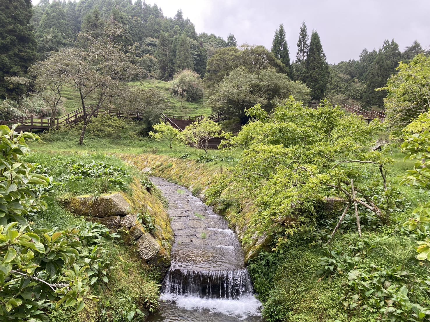 阿里山健行步道、木蘭園