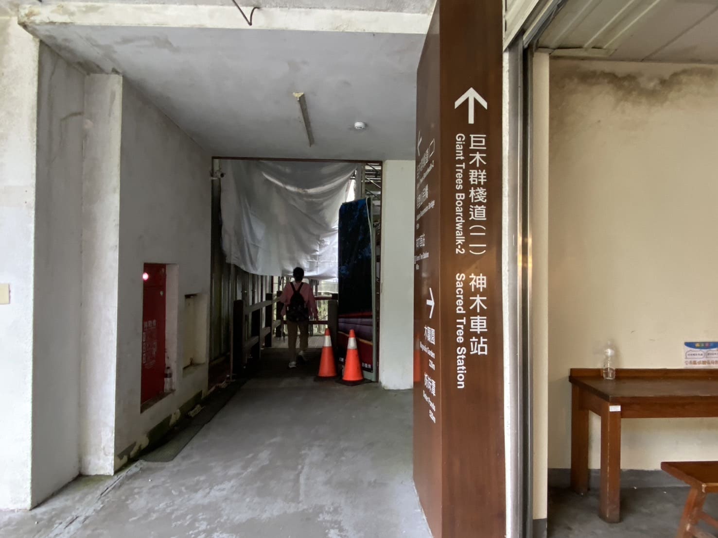 阿里山健行步道、巨木群棧道