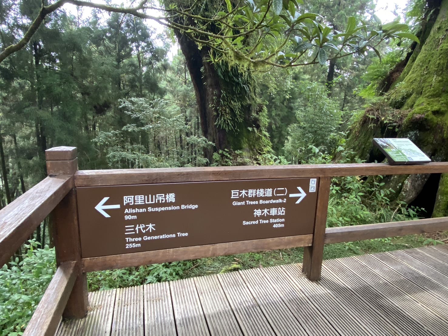 阿里山健行步道、巨木群棧道