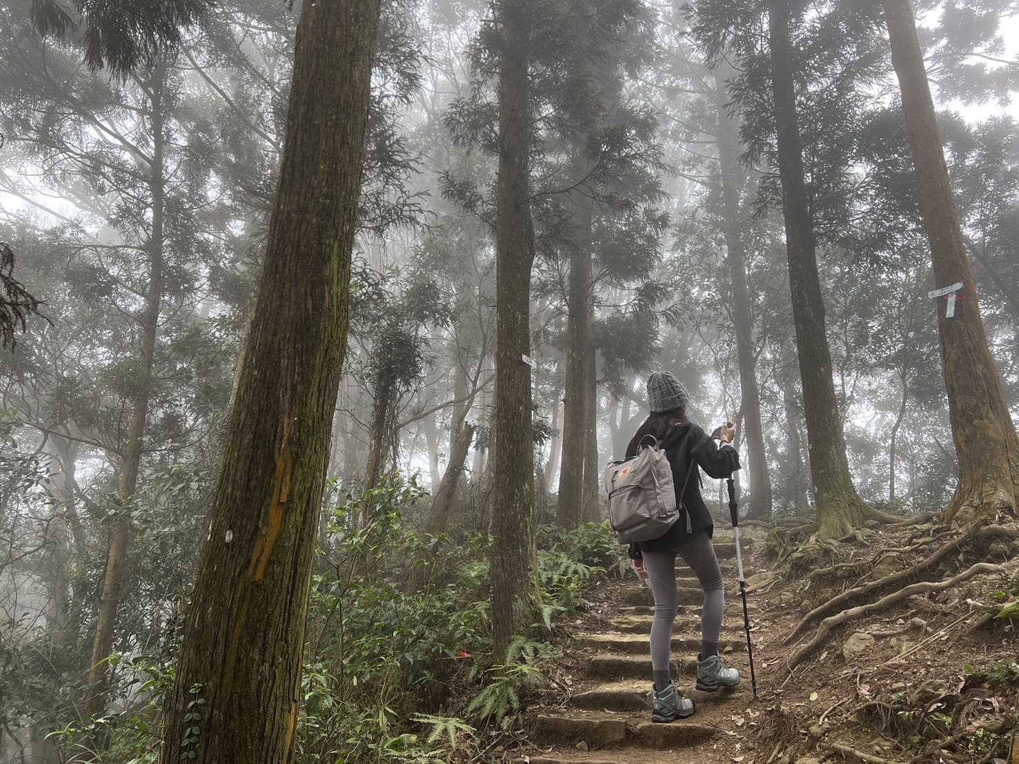 登山目錄、小百岳、仙山