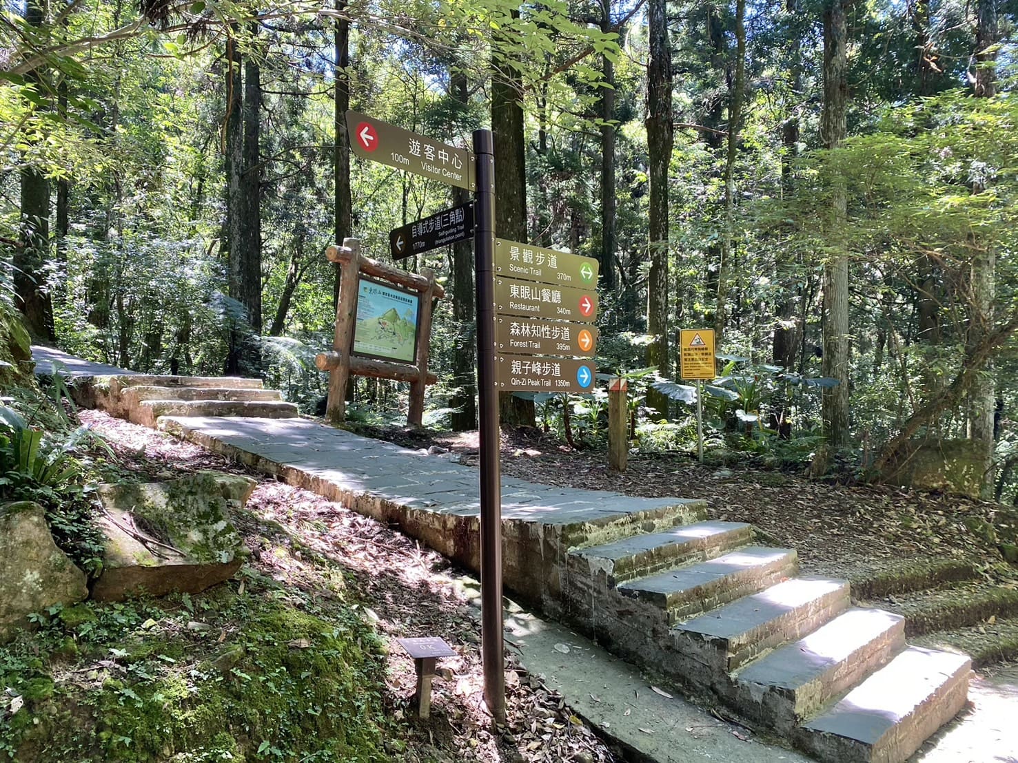 小百岳|東眼山登山路程紀錄|走訪優美高聳杉木林、桃園小百岳 - 第7張圖 東眼山自導式步道入口