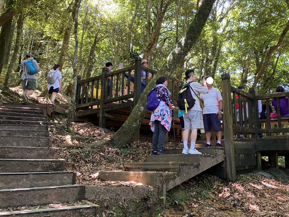 小百岳|東眼山登山路程紀錄|走訪優美高聳杉木林、桃園小百岳 - 第11張圖 東眼山自導式步道