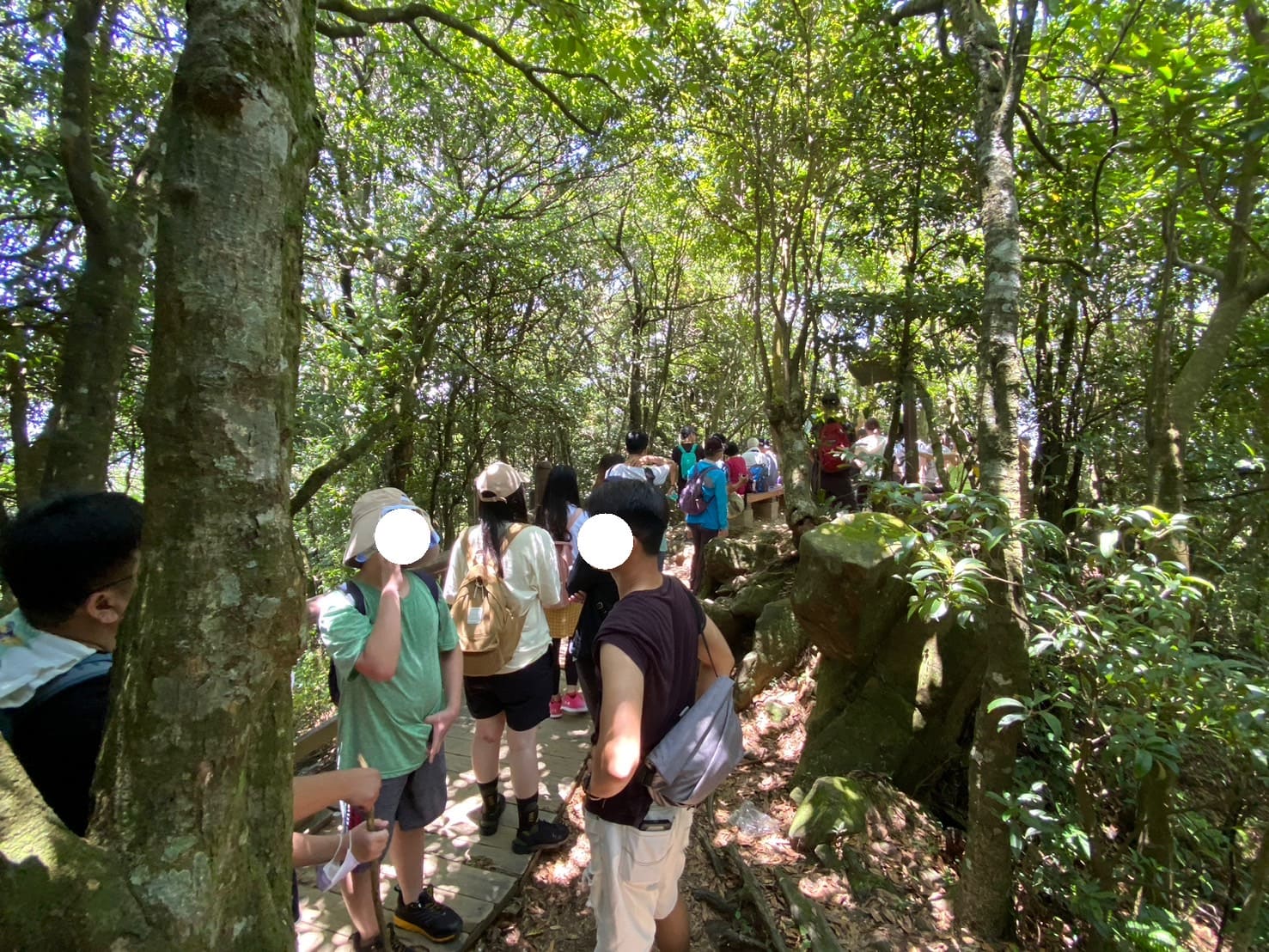 小百岳|東眼山登山路程紀錄|走訪優美高聳杉木林、桃園小百岳 - 第12張圖 東眼山三角點