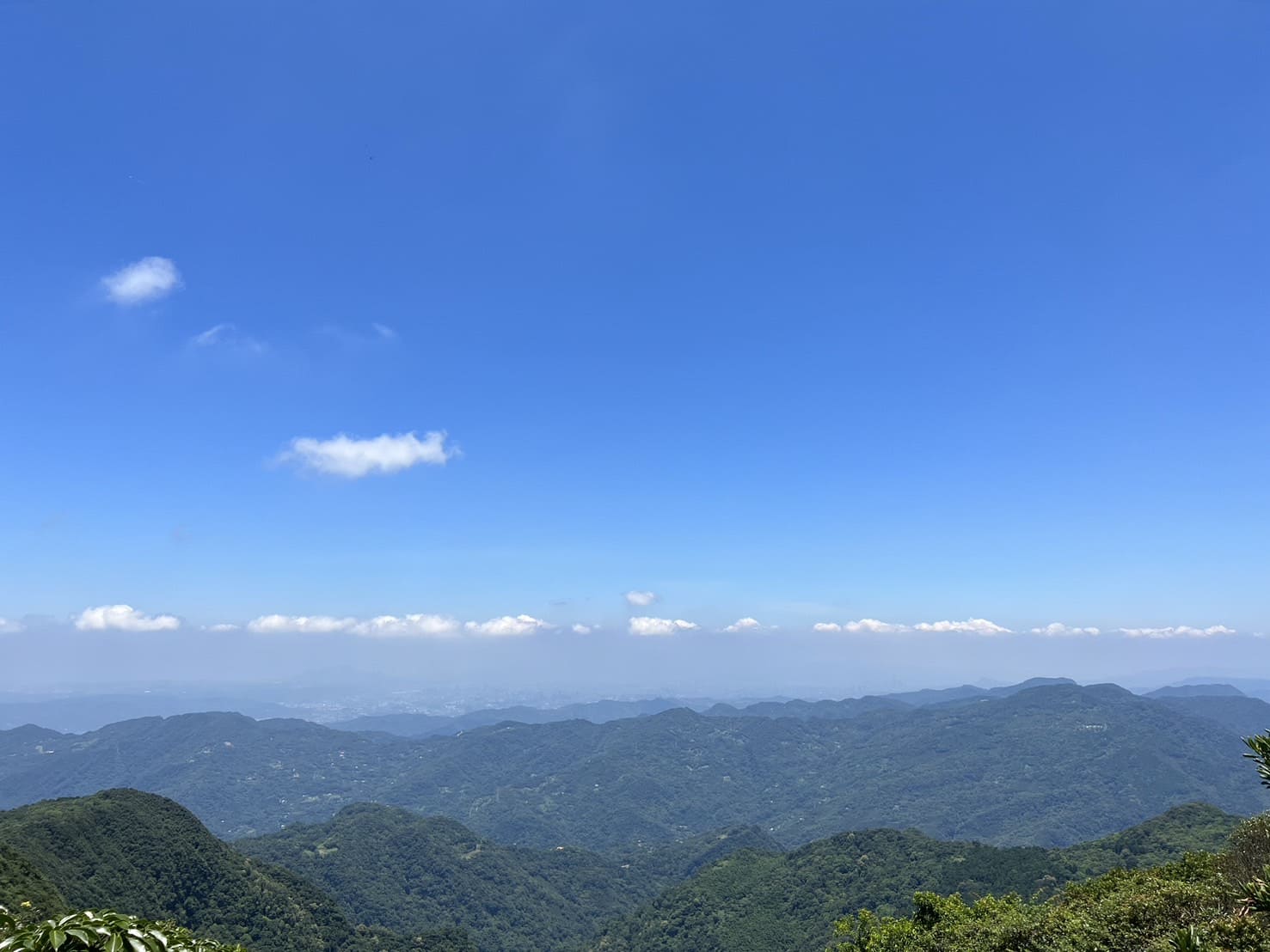 小百岳|東眼山登山路程紀錄|走訪優美高聳杉木林、桃園小百岳 - 第14張圖 東眼山三角點觀景平台