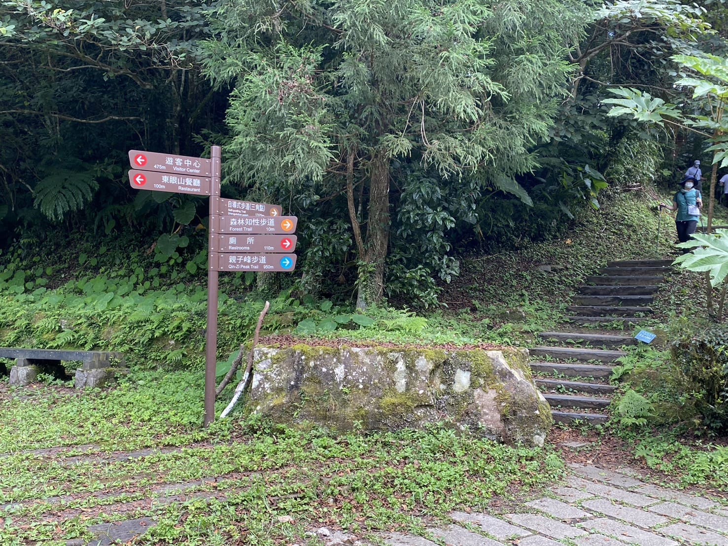 小百岳|東眼山登山路程紀錄|走訪優美高聳杉木林、桃園小百岳 - 第16張圖 東眼山自導式步道出口