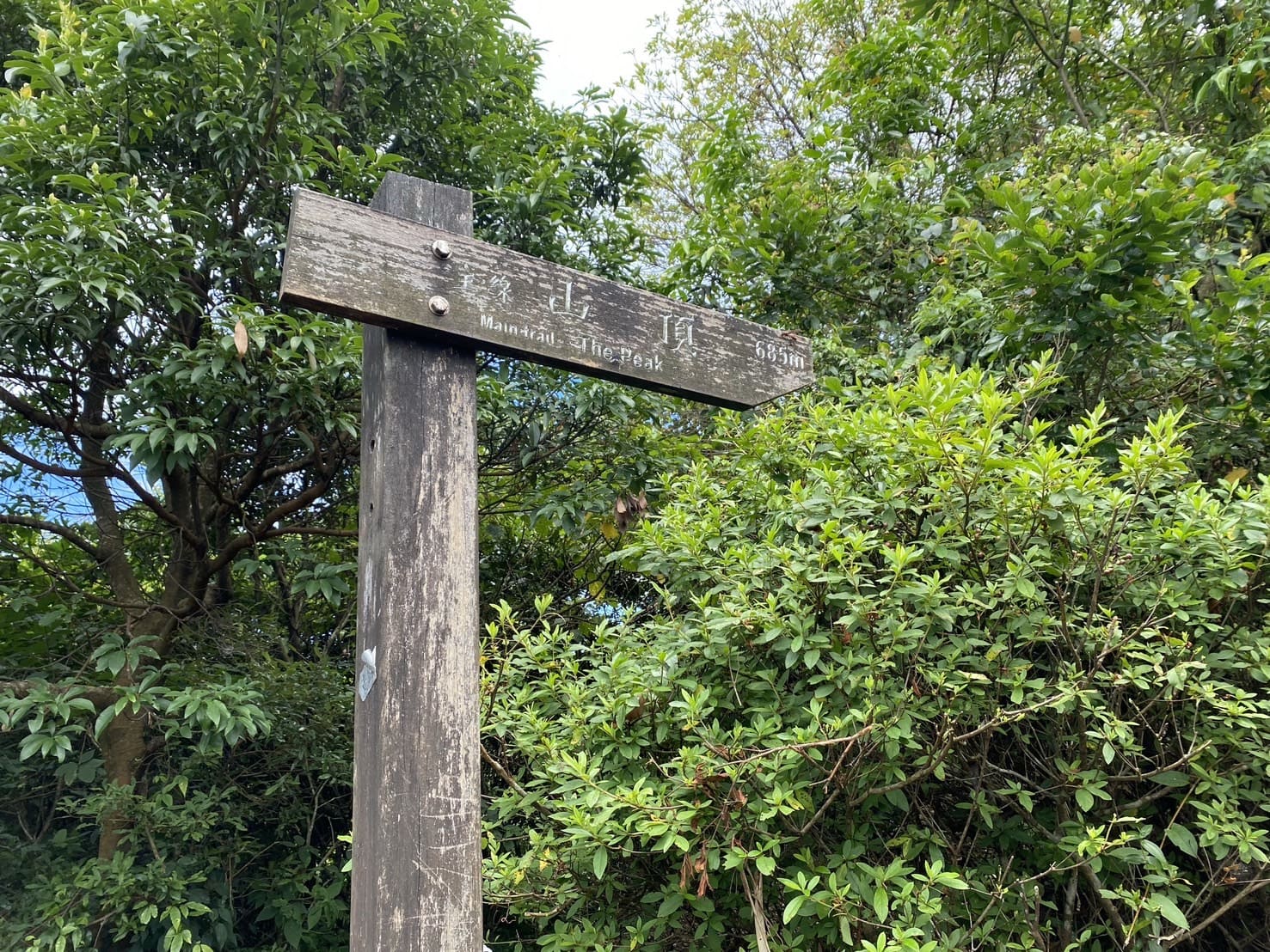基隆山步道
