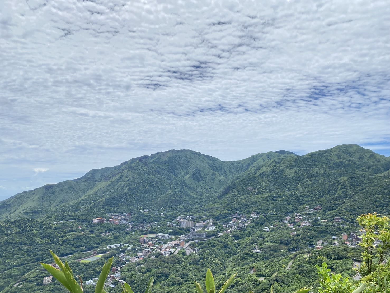 基隆山步道風景