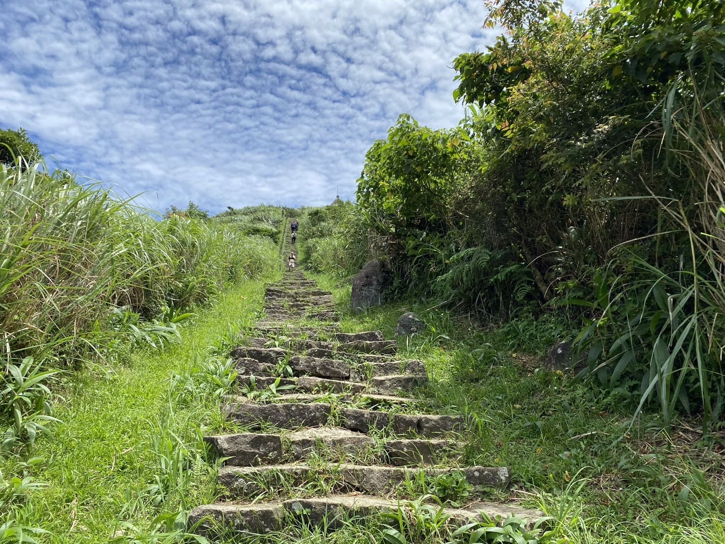 基隆山步道階梯
