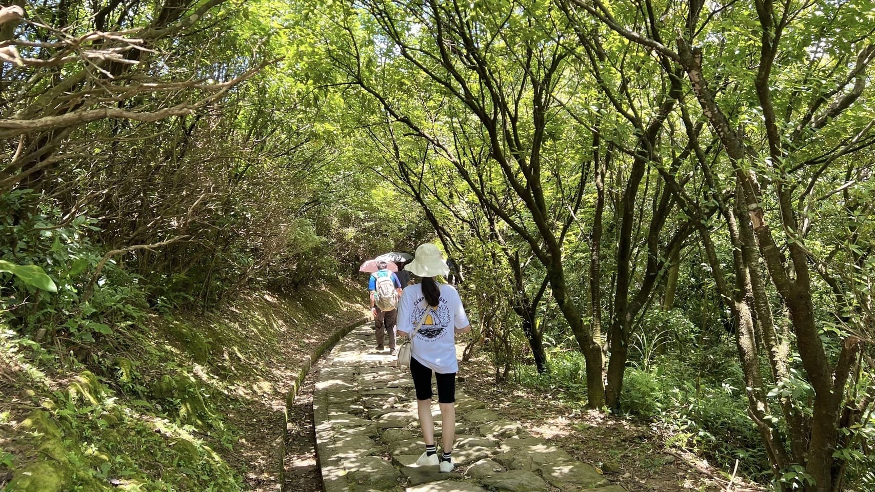 基隆山步道