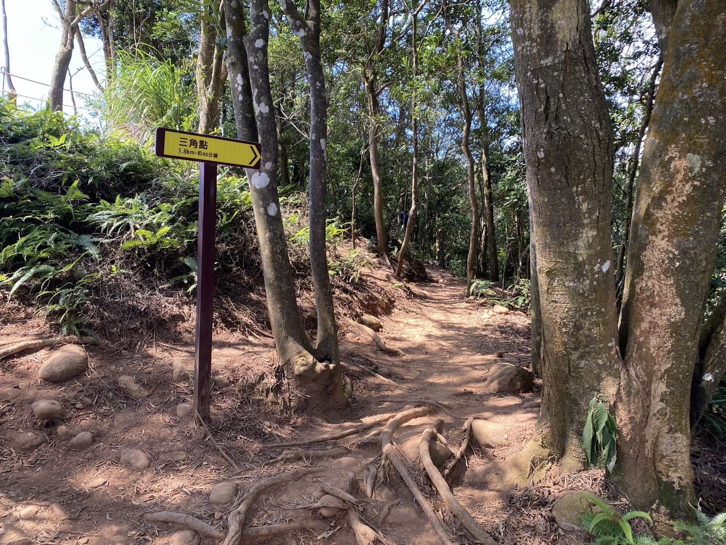 火炎山