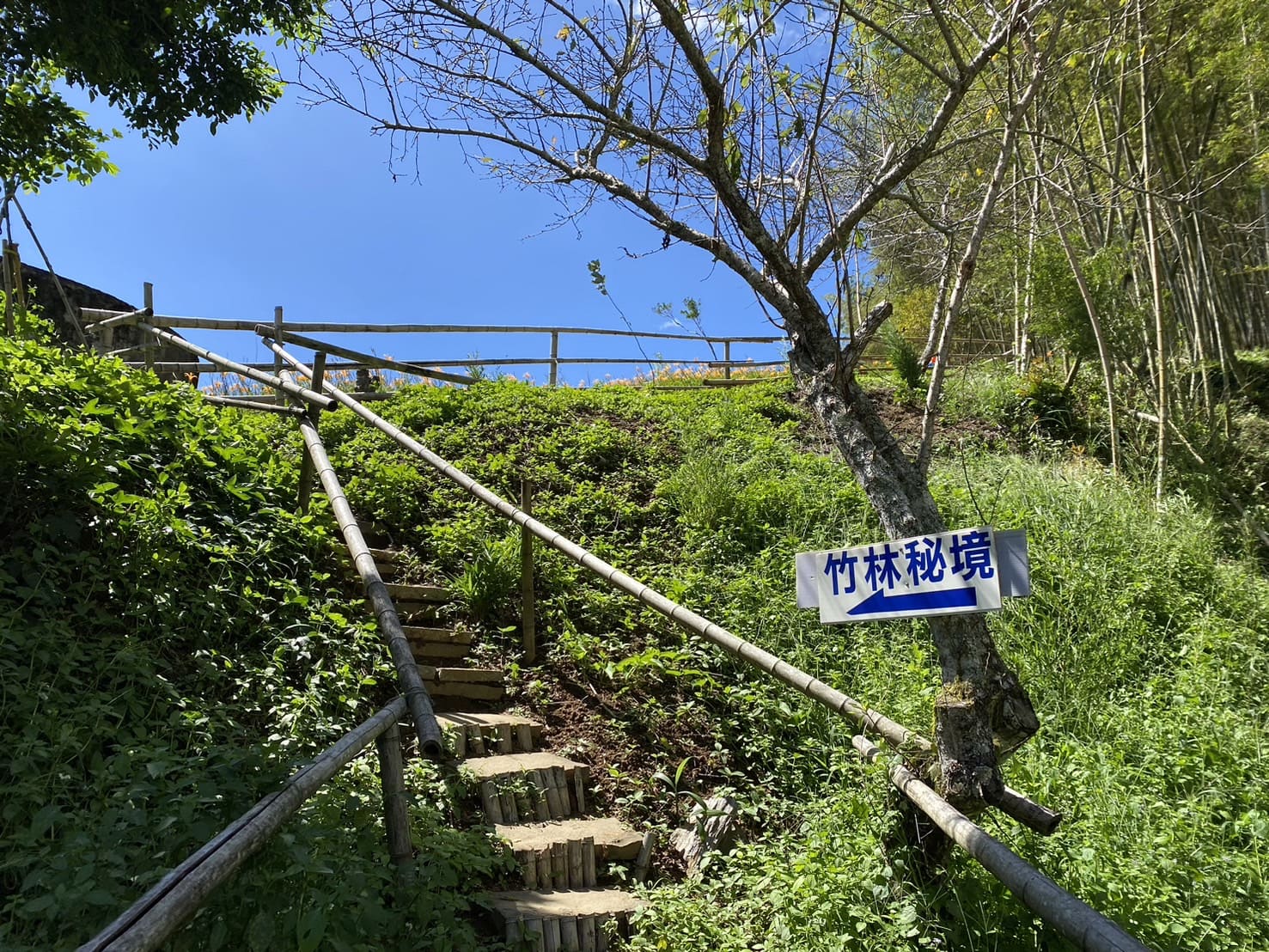 汪家古厝竹林秘境