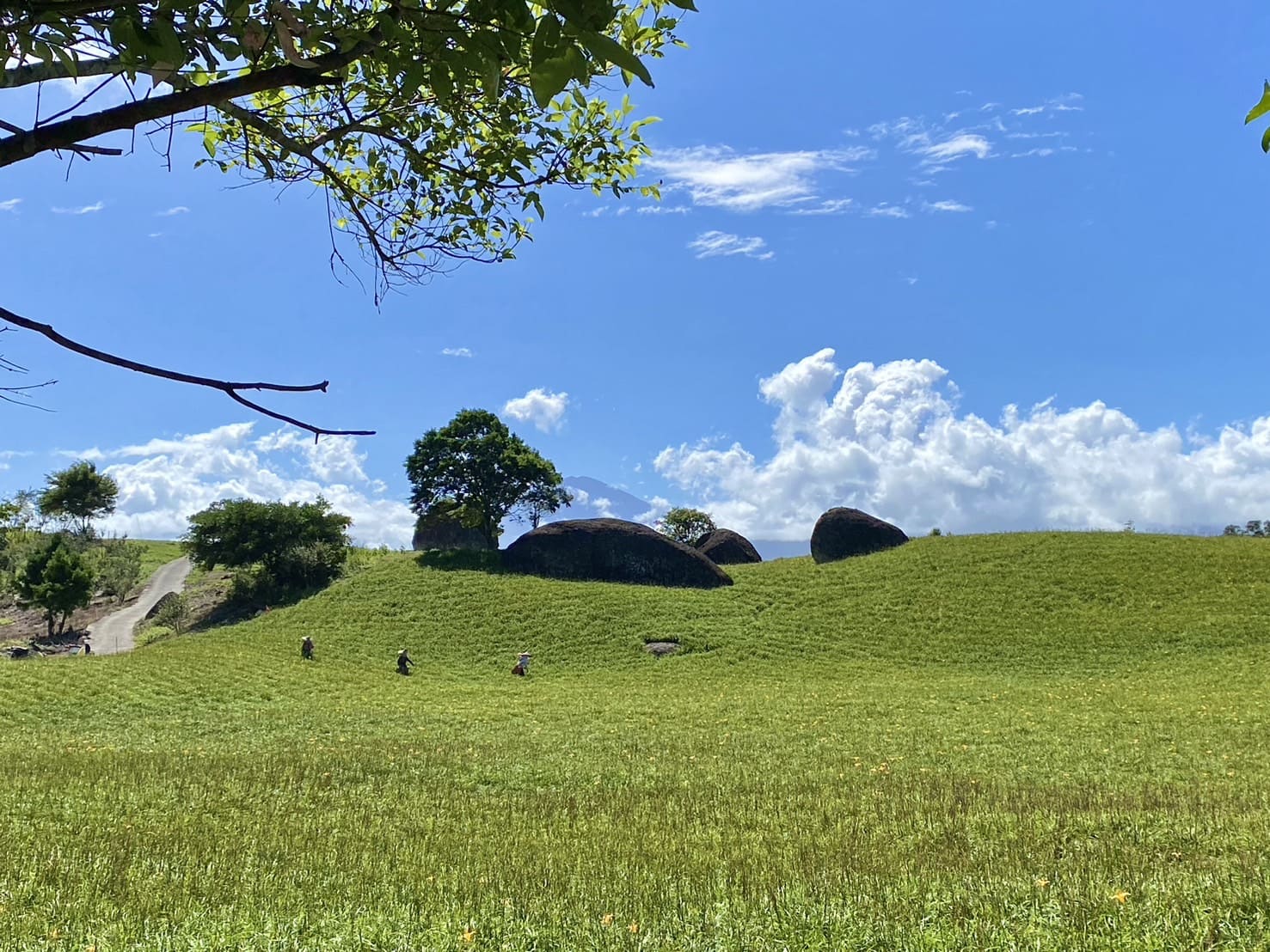 赤科三景-三顆巨石