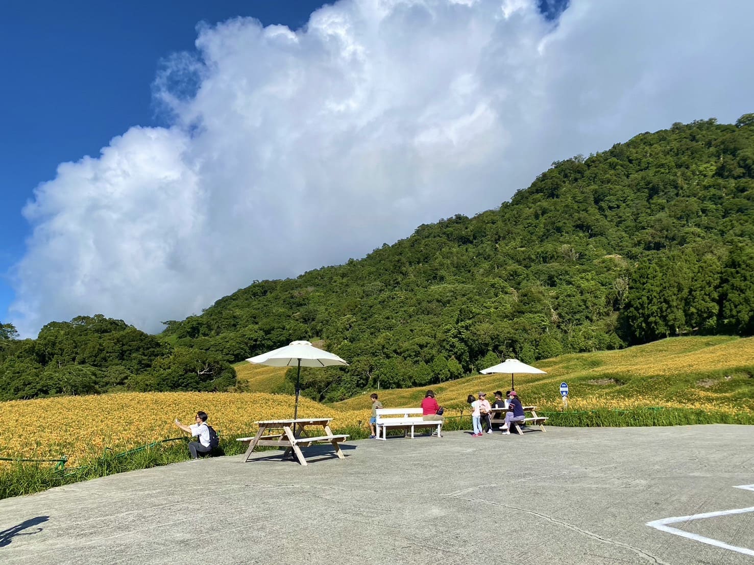 赤柯山小瑞士農場