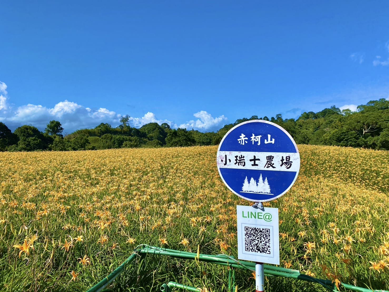 赤柯山小瑞士農場