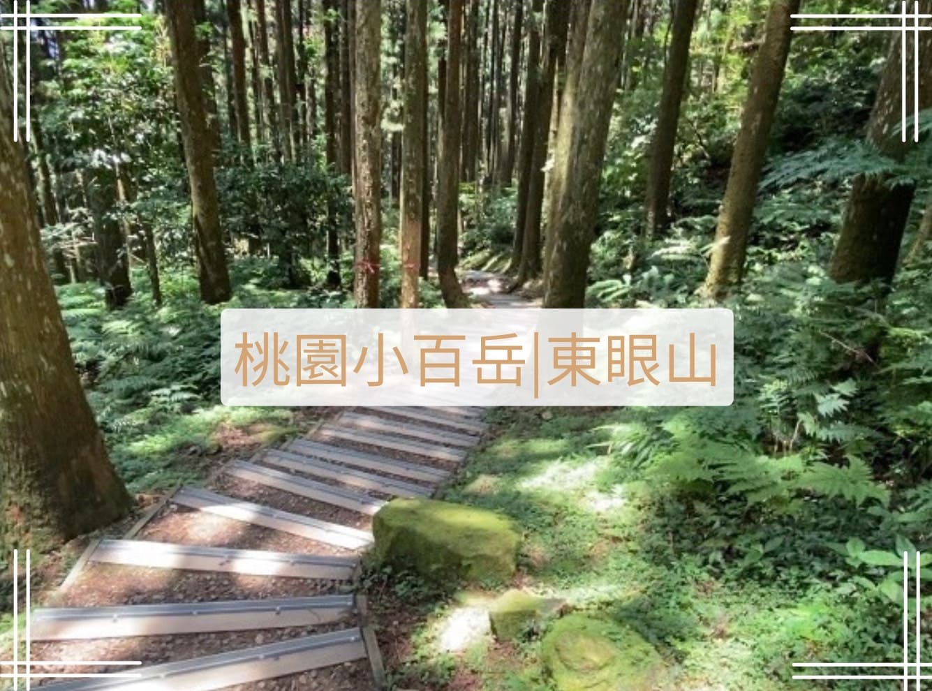 桃園小百岳-東眼山登山